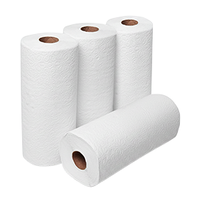 Paper Towels 30 Rolls Per Case 