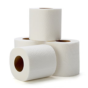 Toilet Paper 2 Ply 500 sheets per roll 24/cs