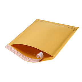 Ecolite Bubble Mailers #6 50 qty